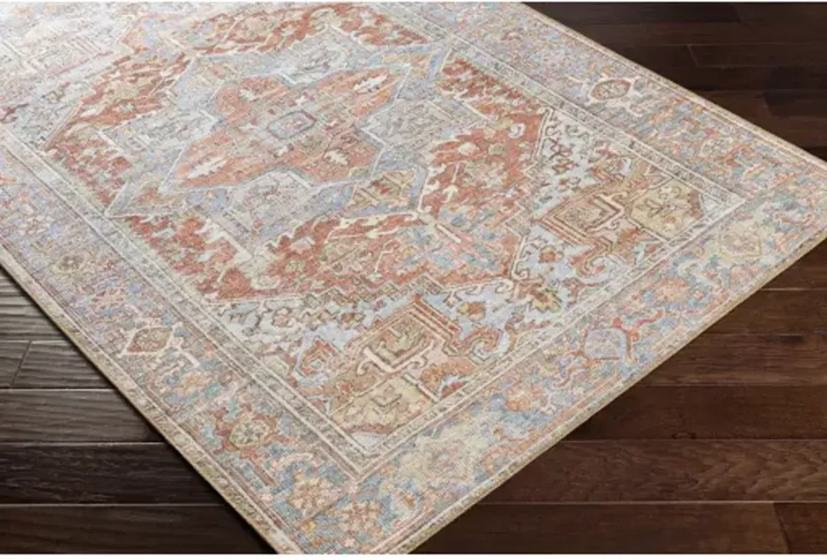 Alanya 5'3" x 7' Rug