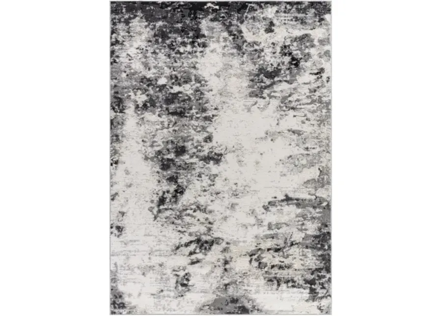 Siyah SIY-2309 7'10" x 10' Machine Woven Rug