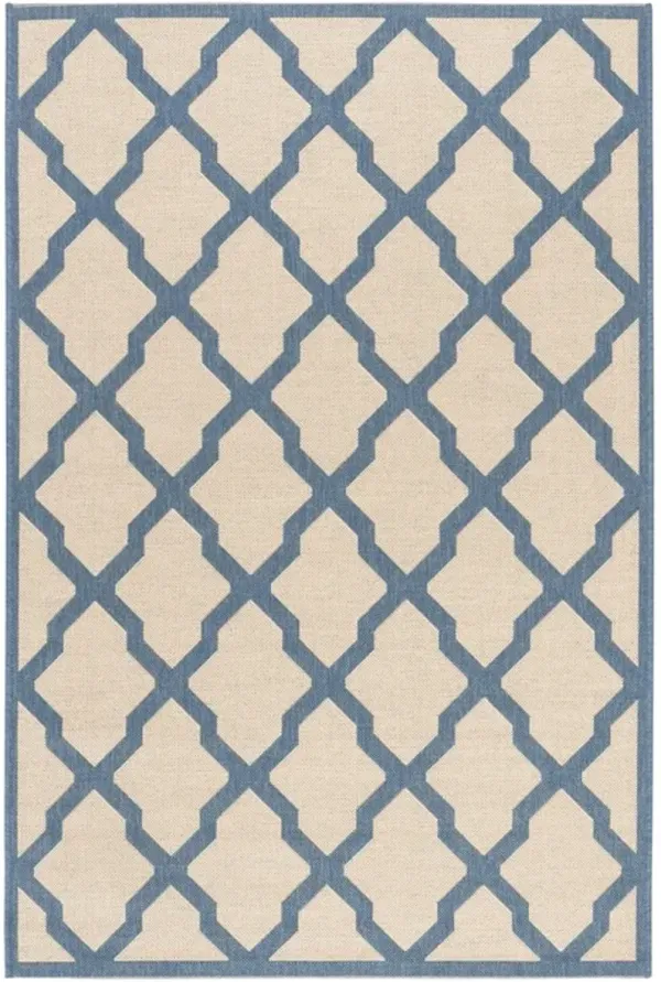 LINDEN 122 Collection LND122N-5 Cream / Blue 5'-3" X 7'-6"