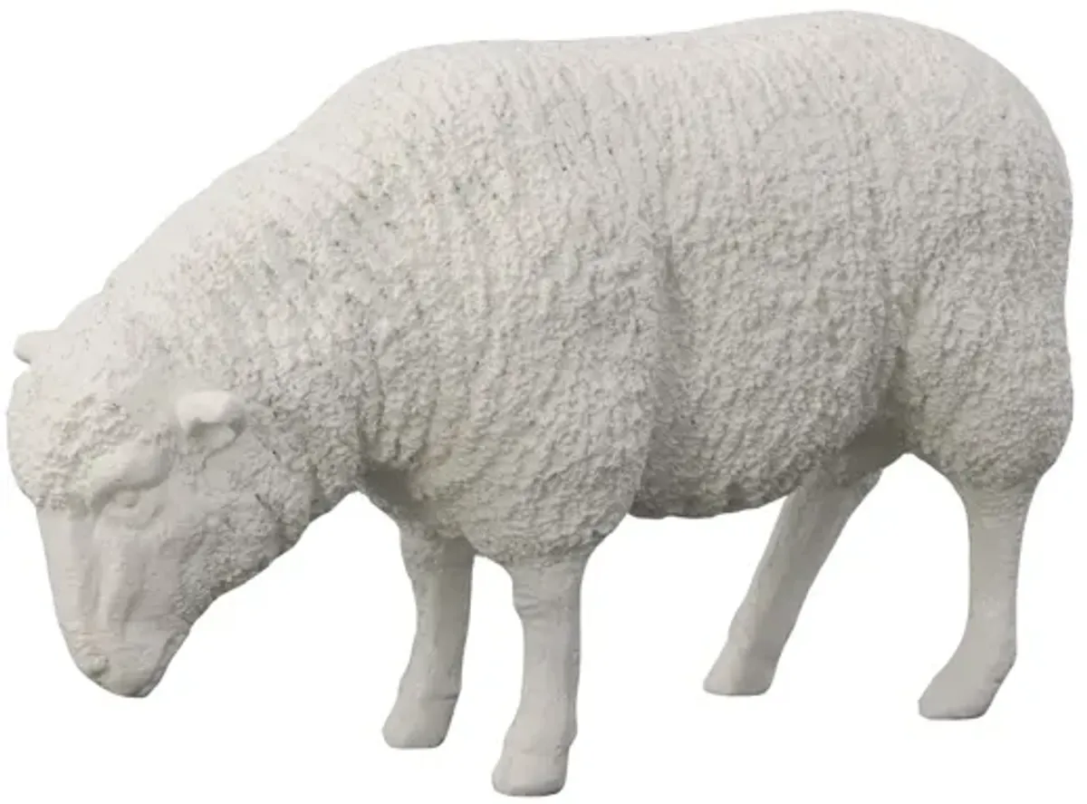 Sheep Sculpture, Gel Coat White