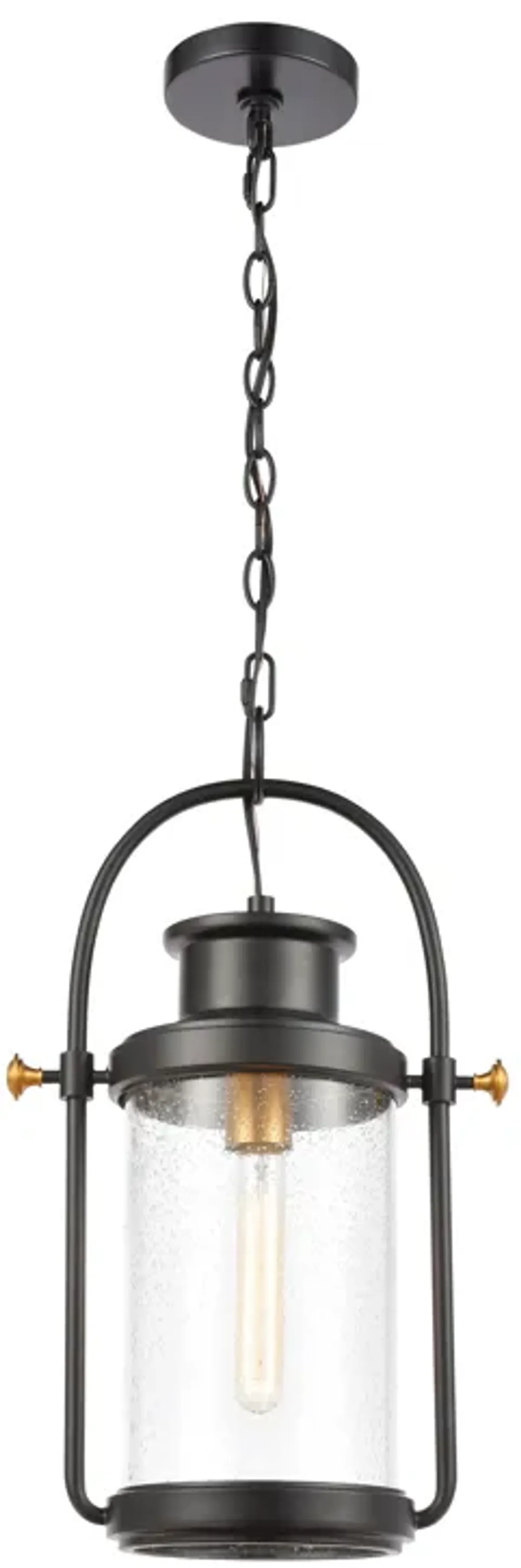 Wexford 12" Wide 1-Light Outdoor Pendant - Matte Black