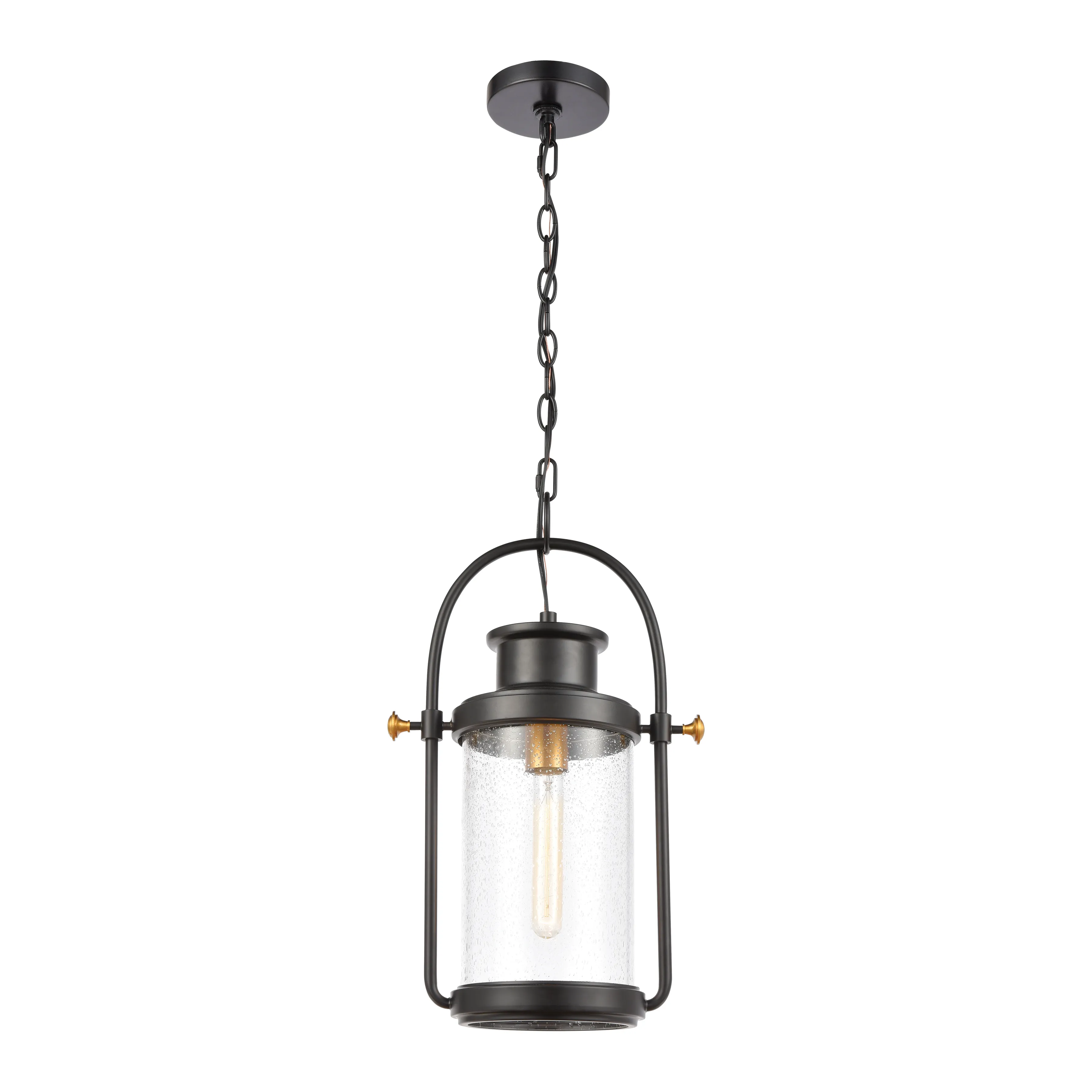 Wexford 12" Wide 1-Light Outdoor Pendant - Matte Black