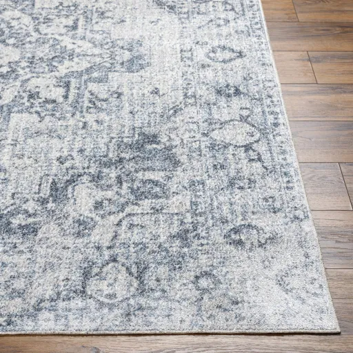 Lillian LLL-2334 2'2" x 3'9" Machine Woven Rug