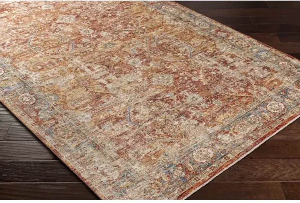 Aspendos APS-2316 2'7" x 7'3" Rug