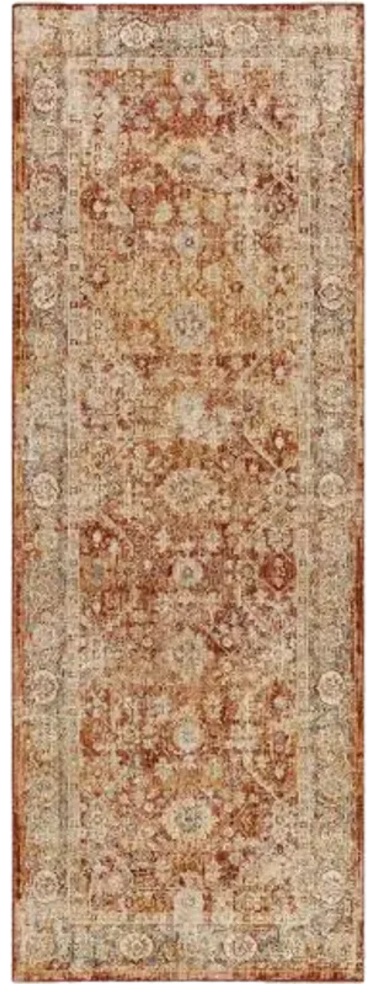 Aspendos APS-2316 2'7" x 7'3" Rug