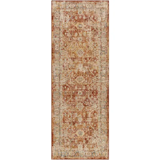 Aspendos APS-2316 2'7" x 7'3" Rug