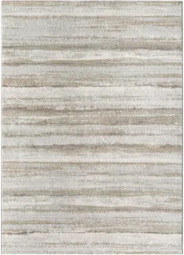 Roma ROM-2402 5'3" x 7'1" Machine Woven Rug