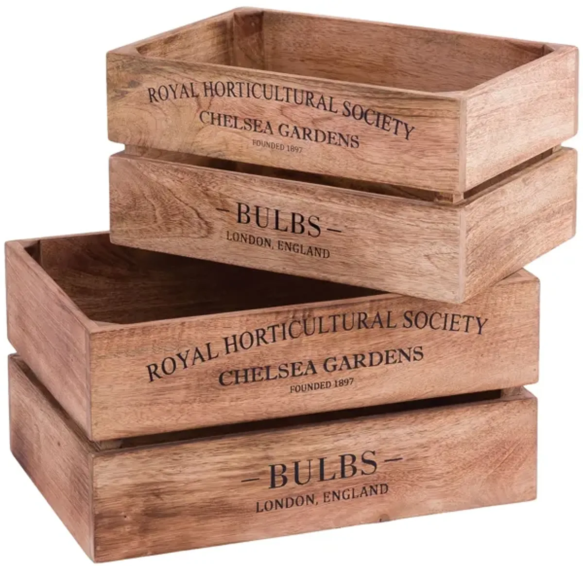 English Bulbs Boxes (Set of 2)