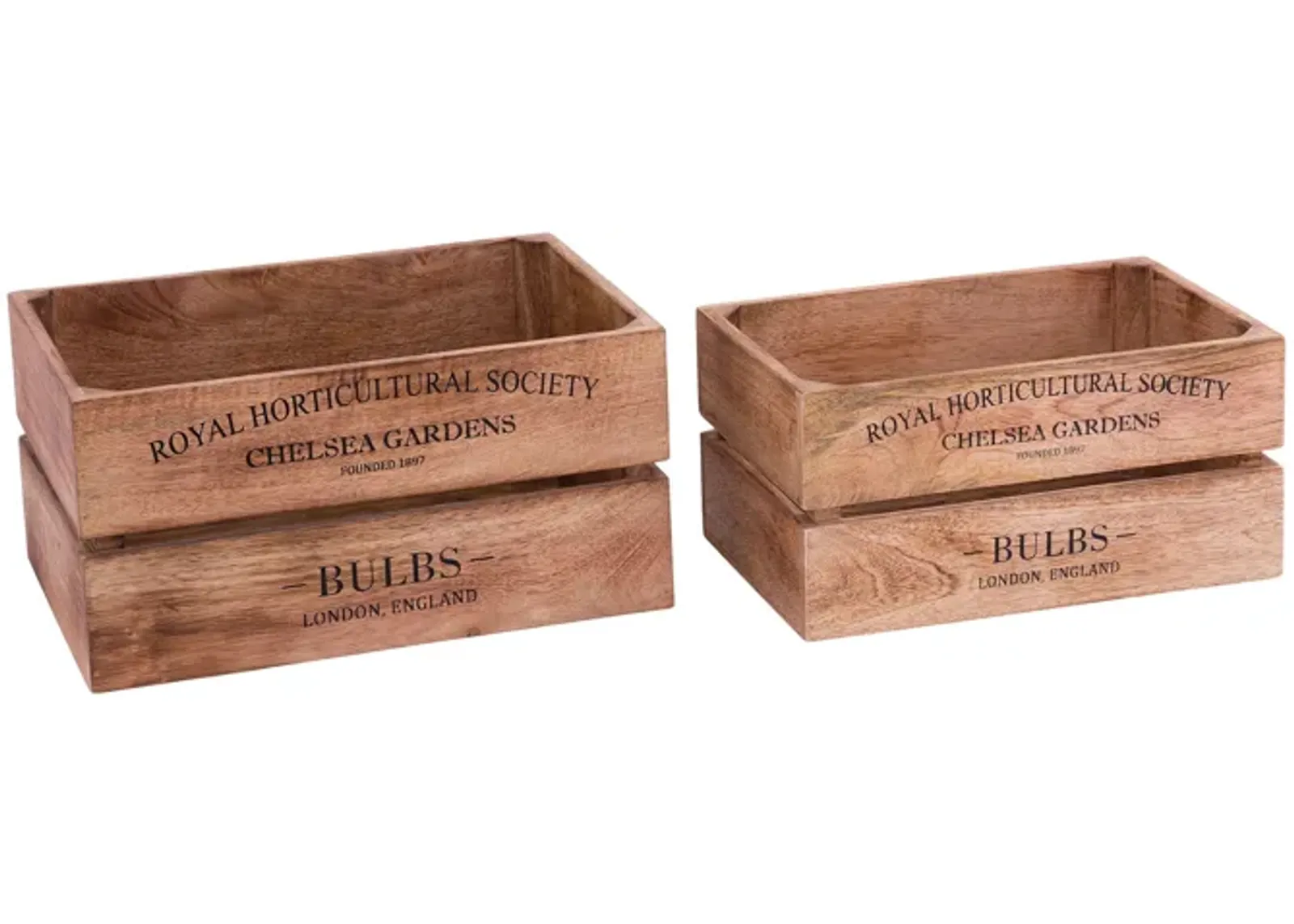 English Bulbs Boxes (Set of 2)