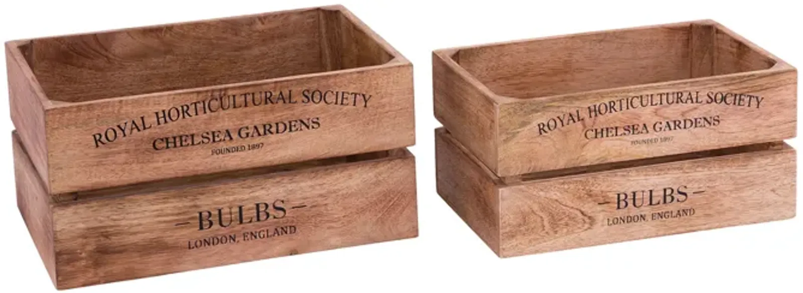 English Bulbs Boxes (Set of 2)