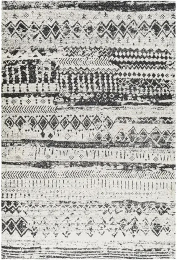 Lavadora 5'3" x 7' Rug