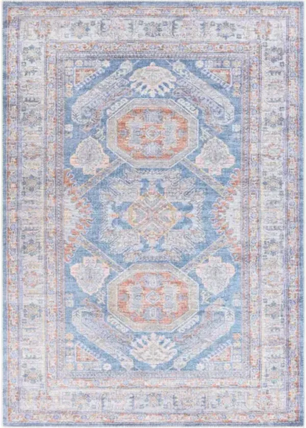 Amelie AML-2317 2'7" x 7'10" Rug