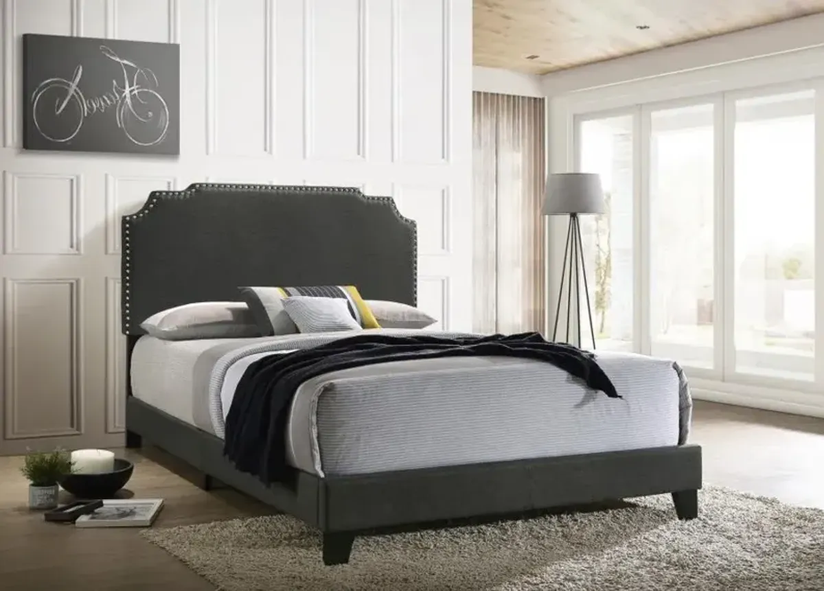 Tamarac Upholstered Nailhead Queen Bed Grey