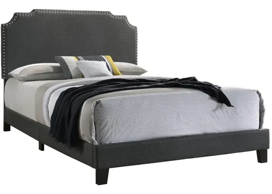 Tamarac Upholstered Nailhead Queen Bed Grey