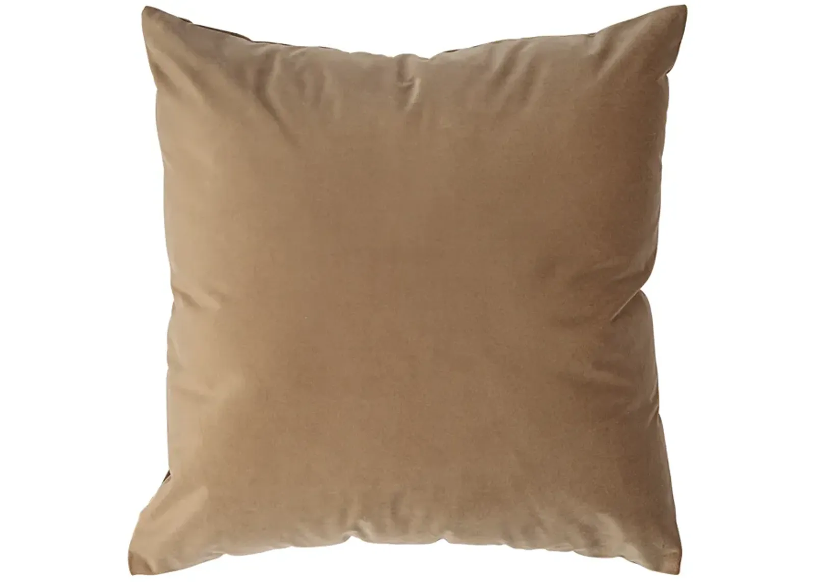 Alchemilla Indoor Pillow