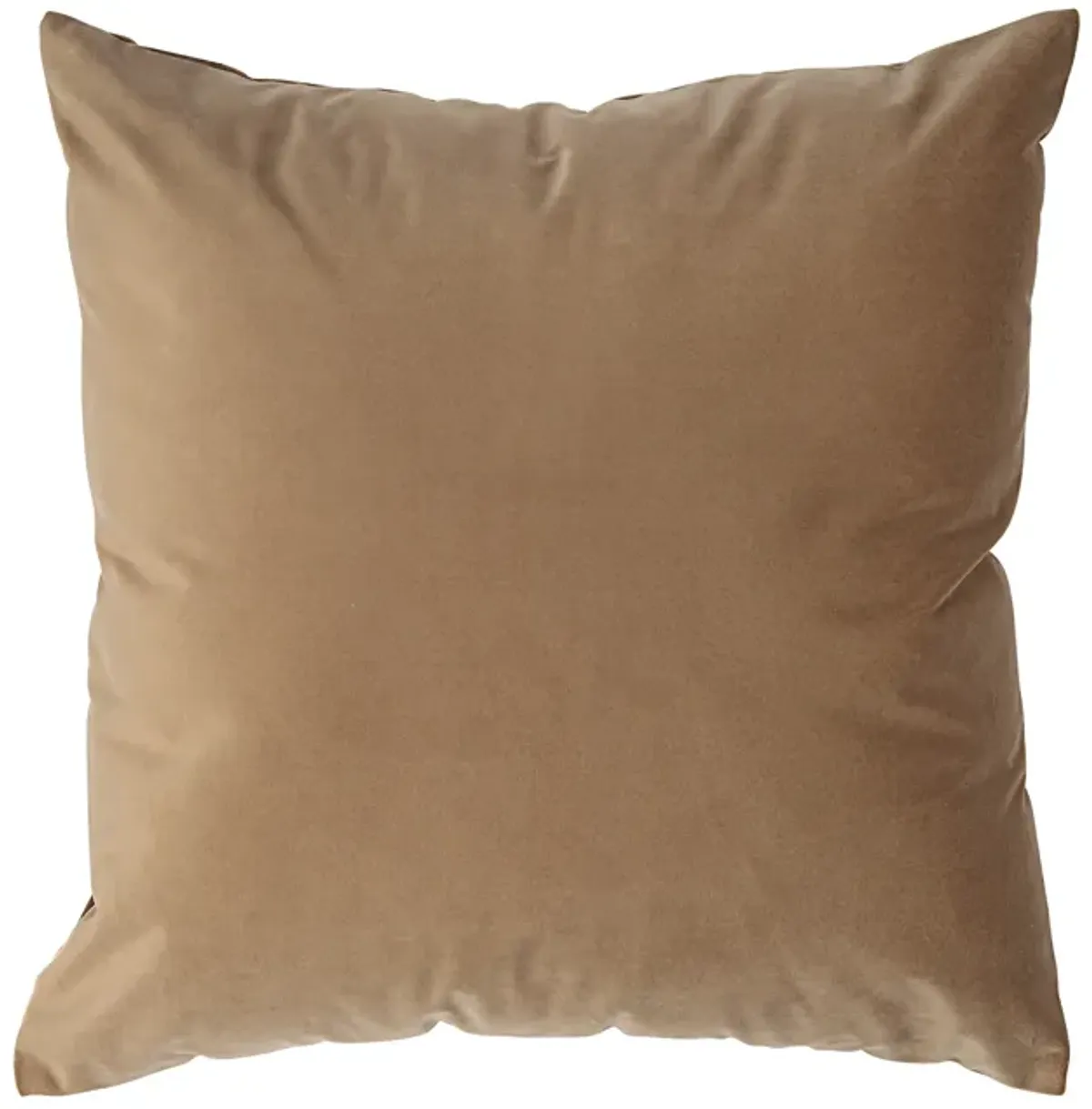 Alchemilla Indoor Pillow