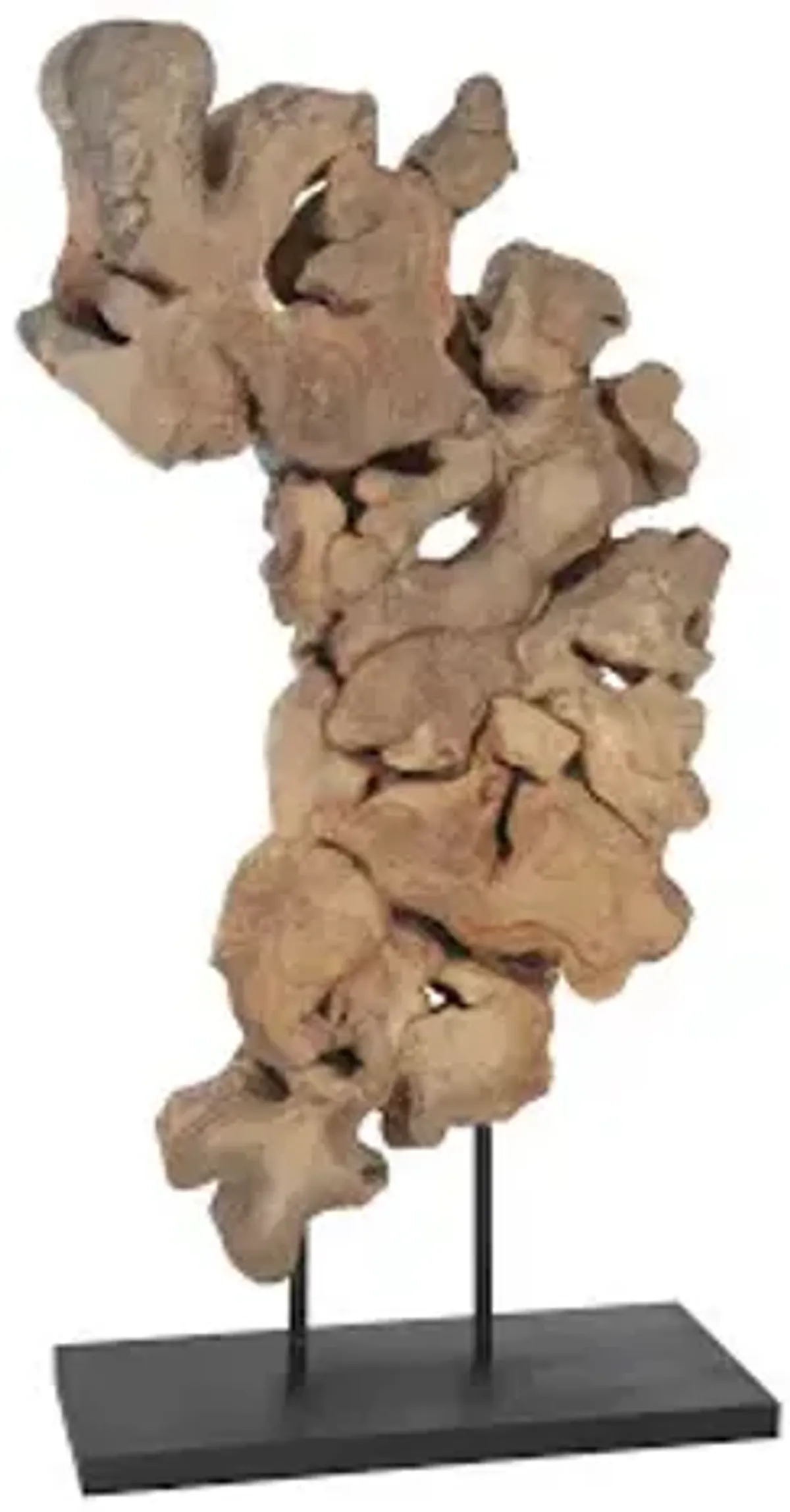 Pipal Wood Sculpture