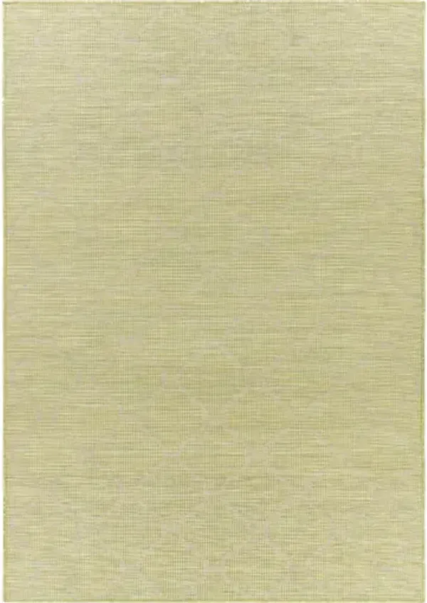 Pasadena 2'6" x 4' Rug