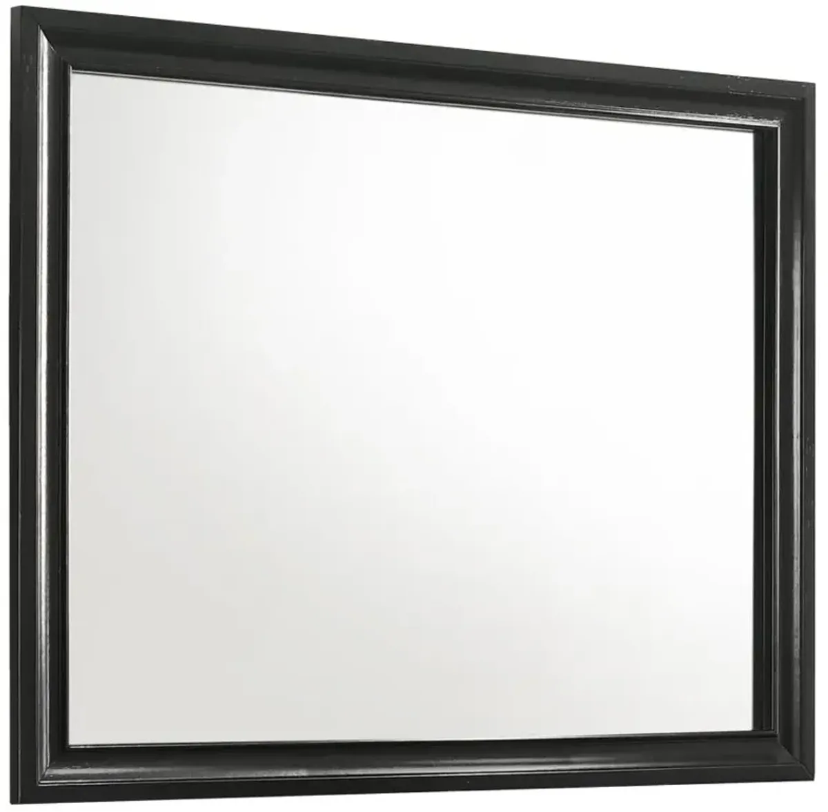 Biarritz Rectangular Dresser Mirror Black