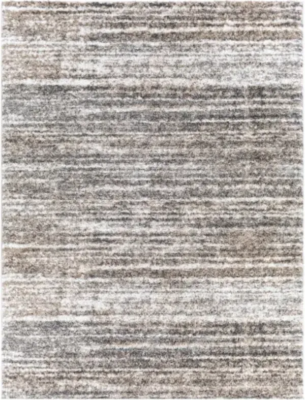 Aliyah shag 2' x 3' Rug