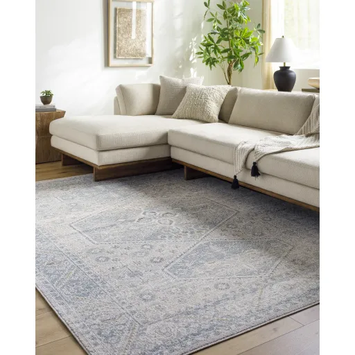 Alpharetta APH-2313 6'7" x 9' Machine Woven Rug