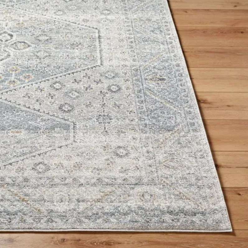 Alpharetta APH-2313 6'7" x 9' Machine Woven Rug