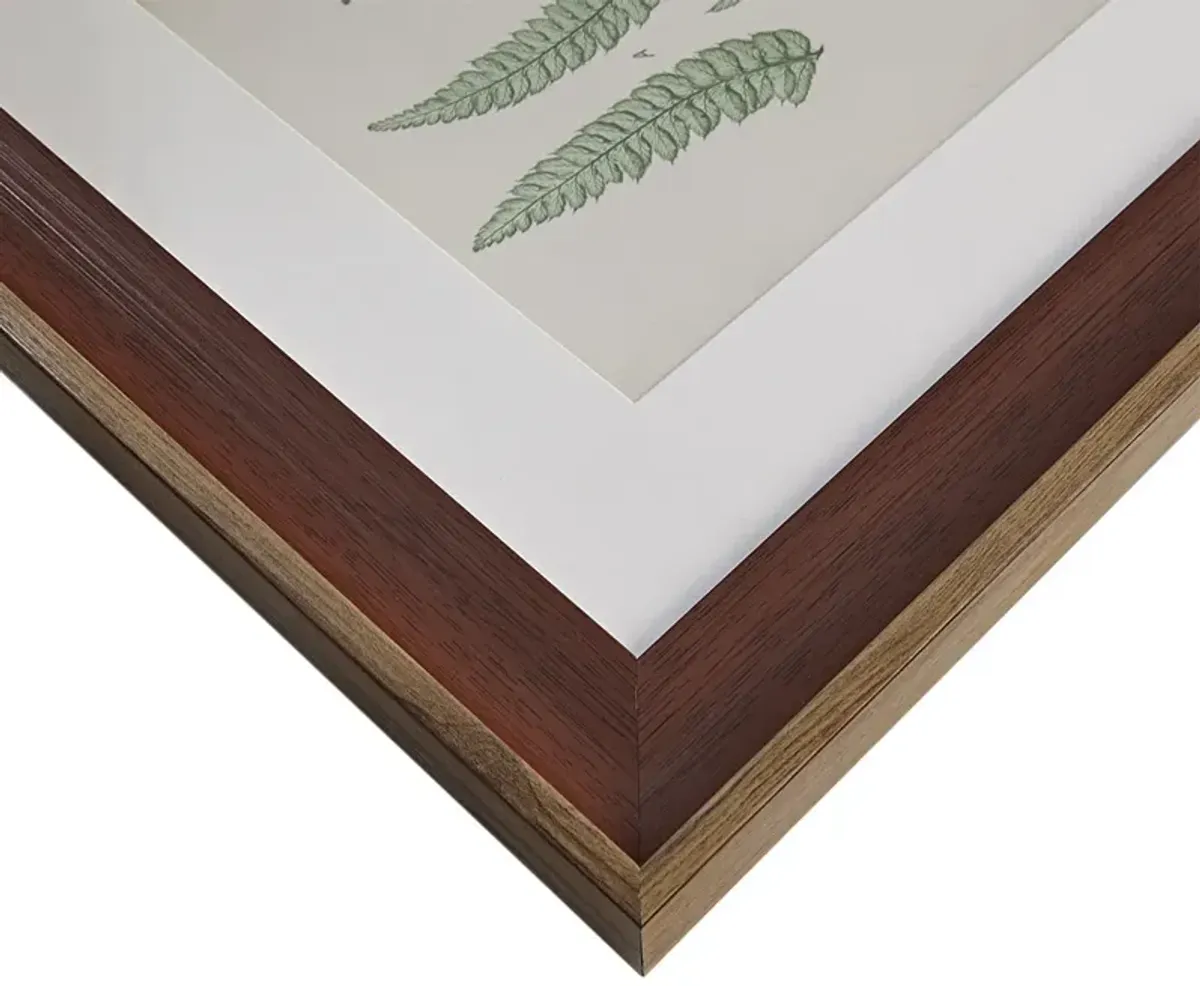 Martha Stewart Lady Fern Collection Green Botanical Illustration 3-piece Framed Glass and Single Matted Wall Art Set