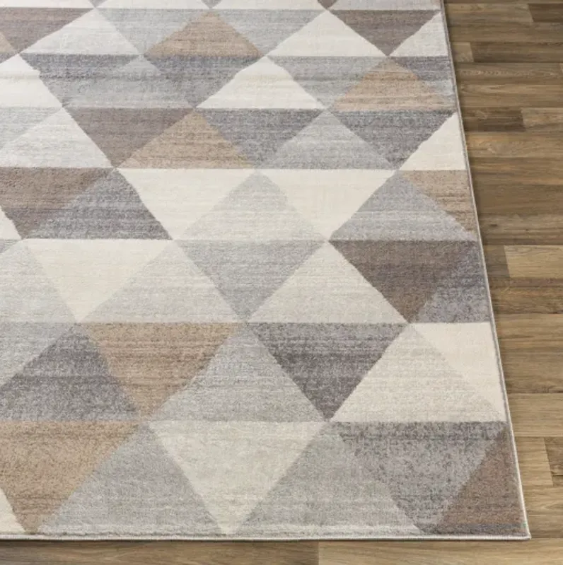 Roma 5'3" x 7'1" Rug