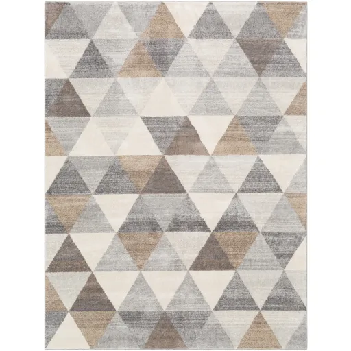 Roma 5'3" x 7'1" Rug