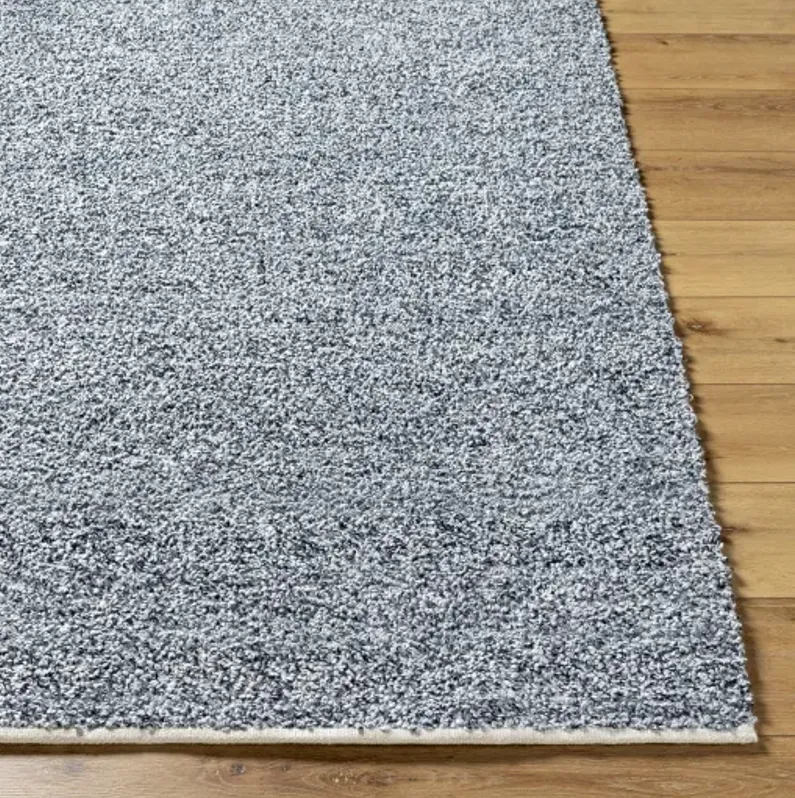 Boculette BCT-2302 5' x 7'6" Hand Made Rug