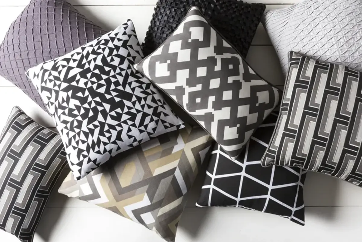 Teori TO-005 20"L x 20"W Accent Pillow