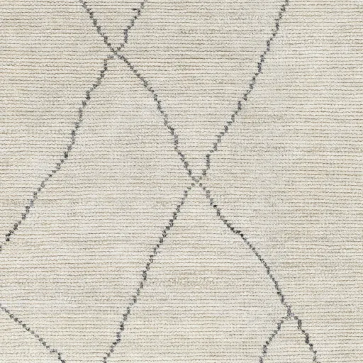 Nalan NYL-2303 9' x 12' Hand Made Rug