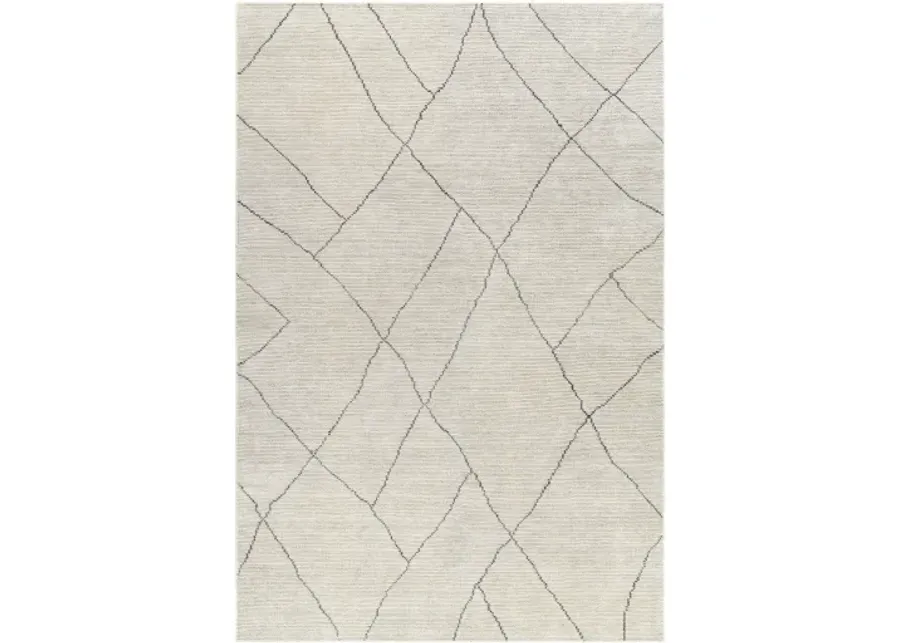 Nalan NYL-2303 9' x 12' Hand Made Rug