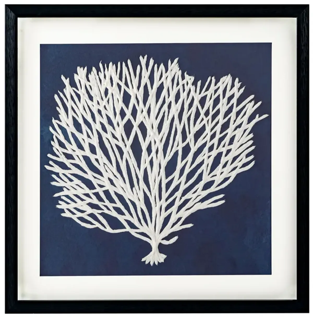 Sea Fan I, Shadow Box