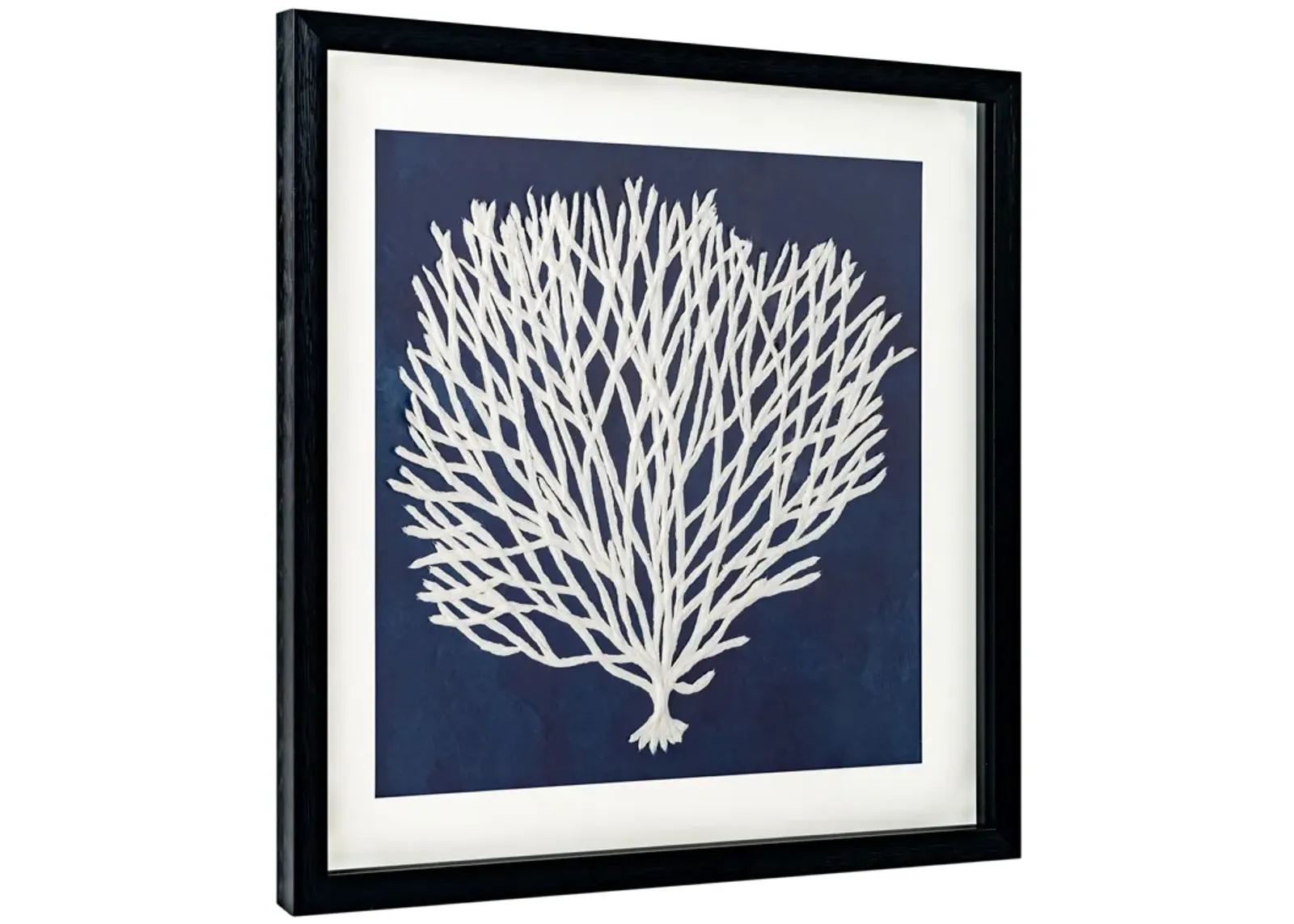 Sea Fan I, Shadow Box