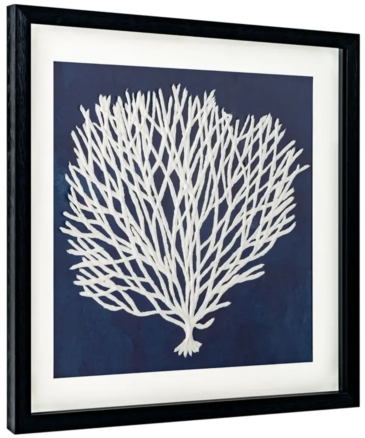 Sea Fan I, Shadow Box