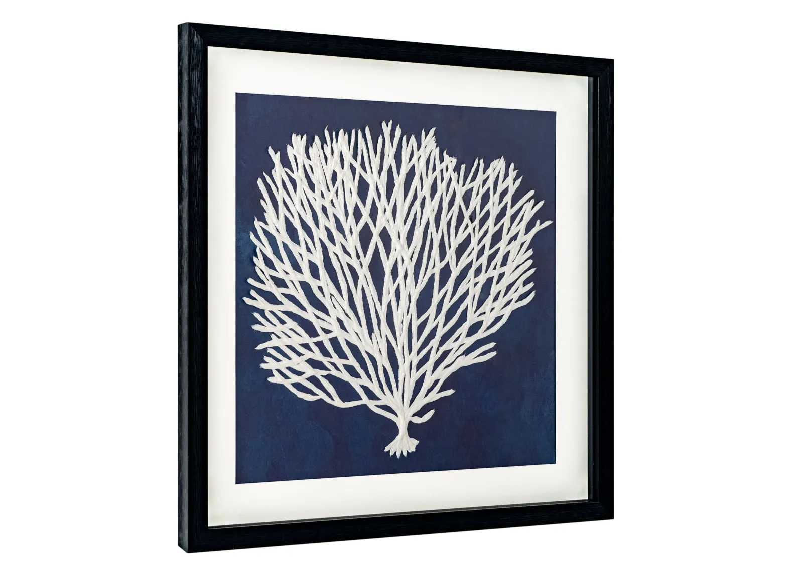 Sea Fan I, Shadow Box