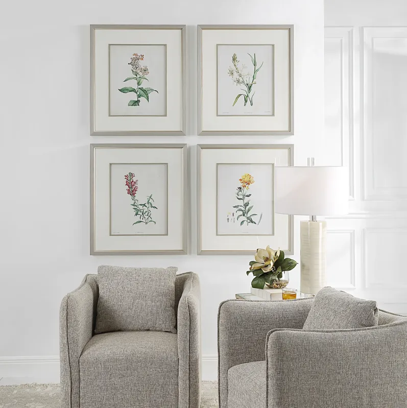 Heirloom Blooms Study Framed Prints Set/4