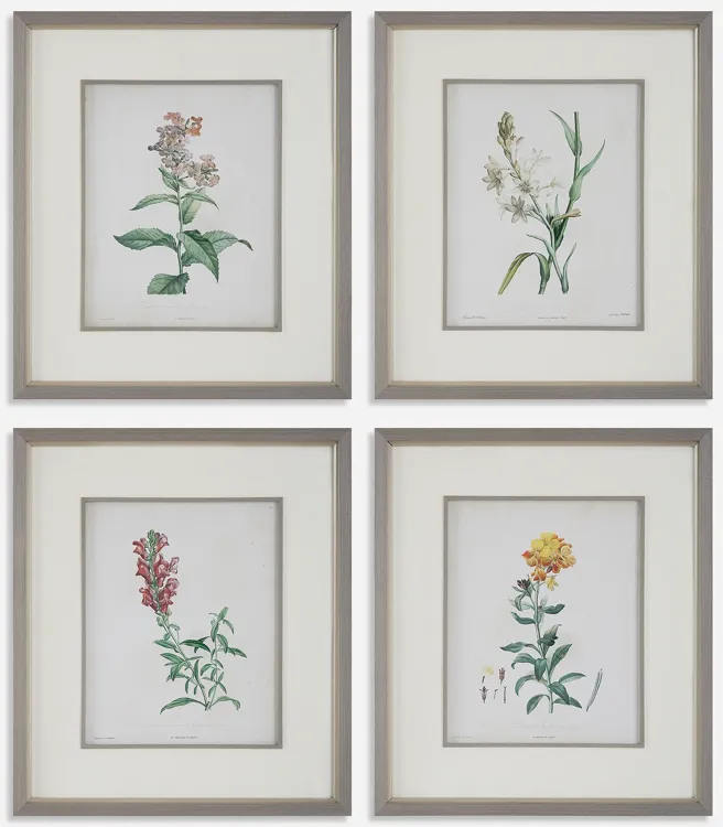 Heirloom Blooms Study Framed Prints Set/4