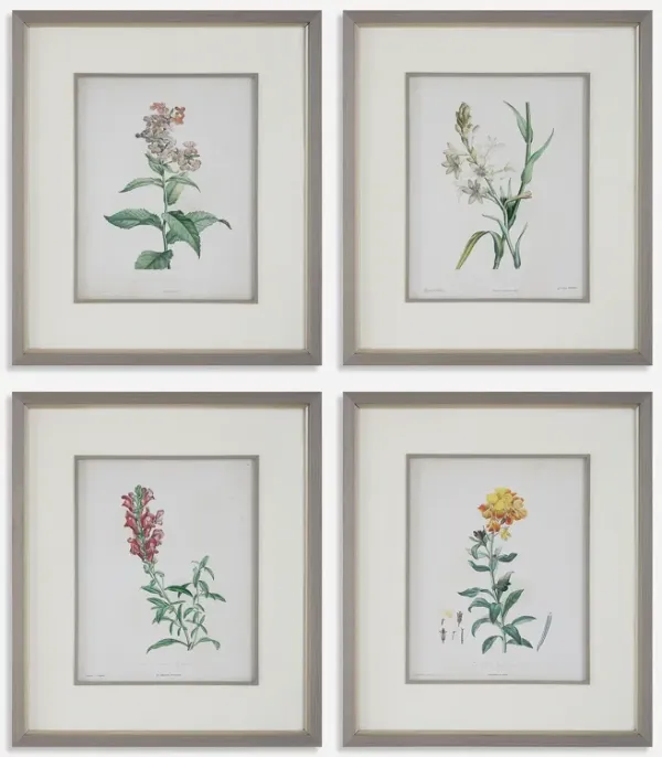 Heirloom Blooms Study Framed Prints Set/4