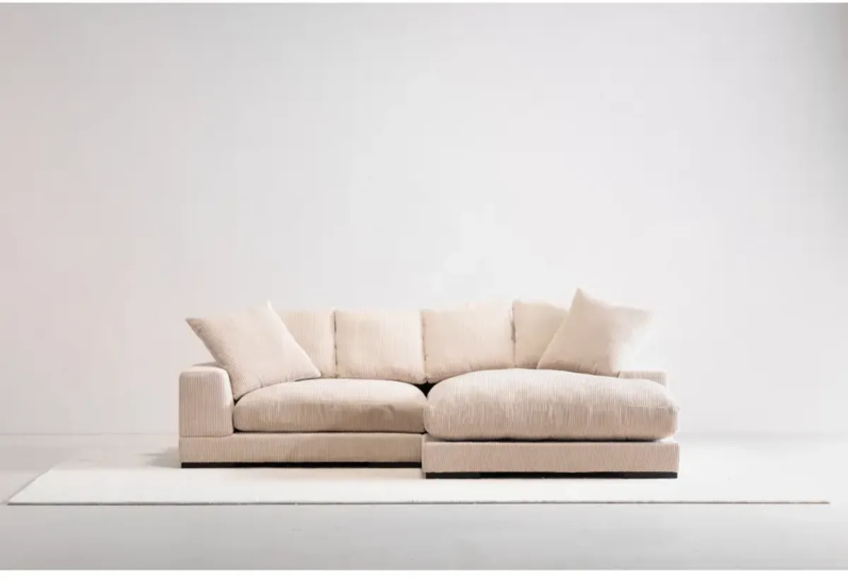 PLUNGE SECTIONAL