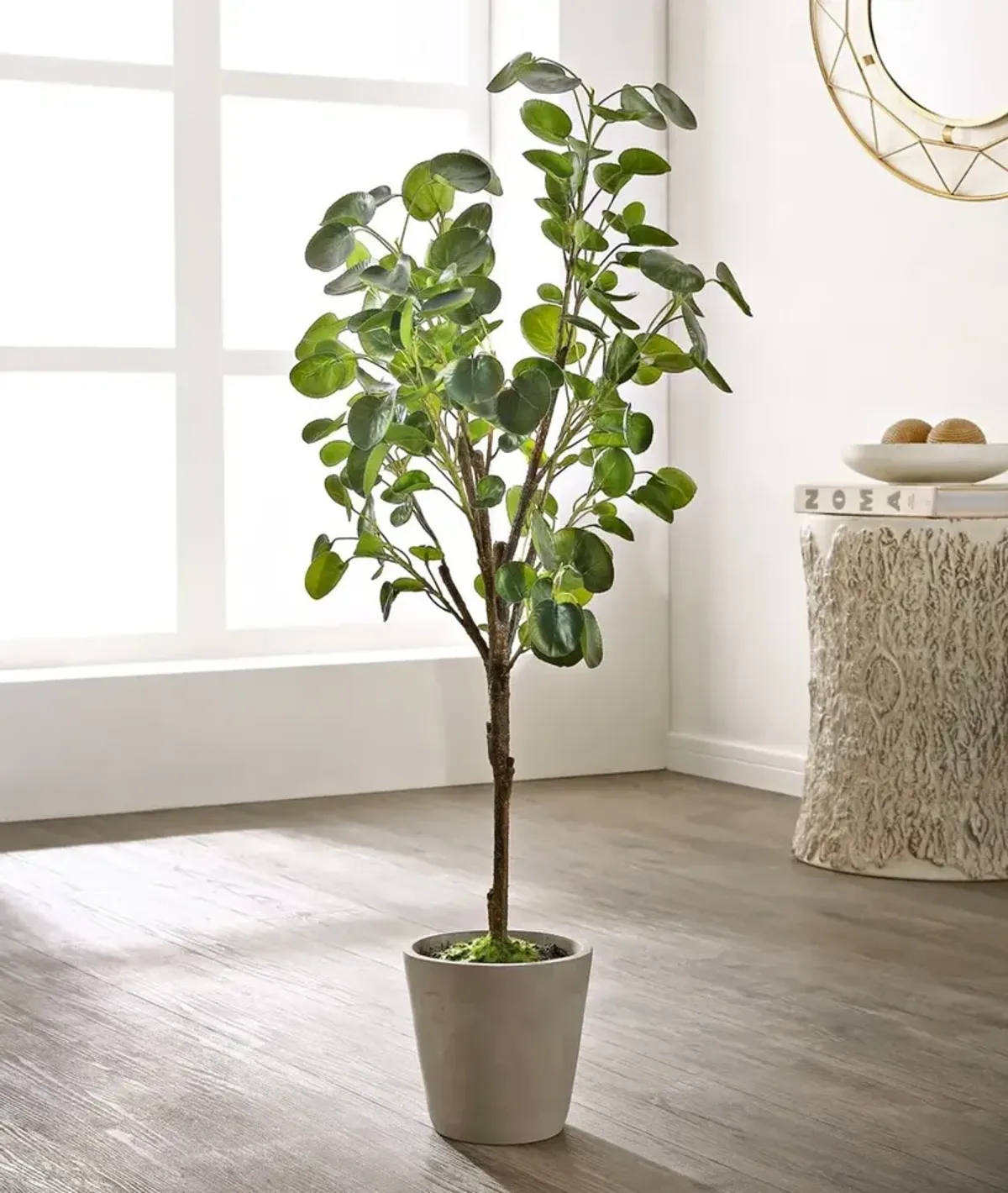 Faux Polyscias Fruticosa Potted Tree