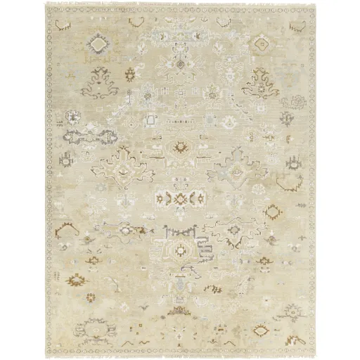 Shiraz SHZ-2300 2' x 3' Handmade Rug