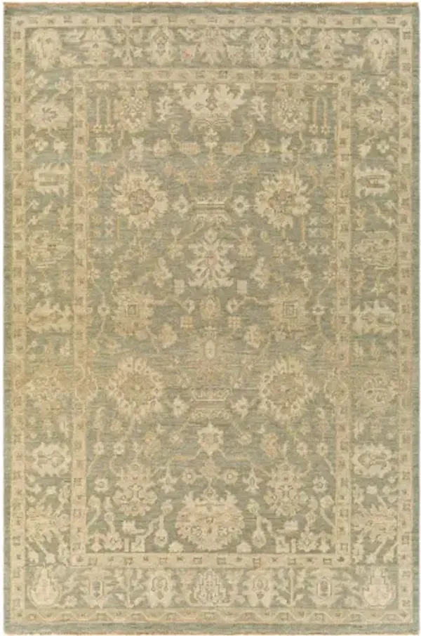 Reign 6' x 9' Rug