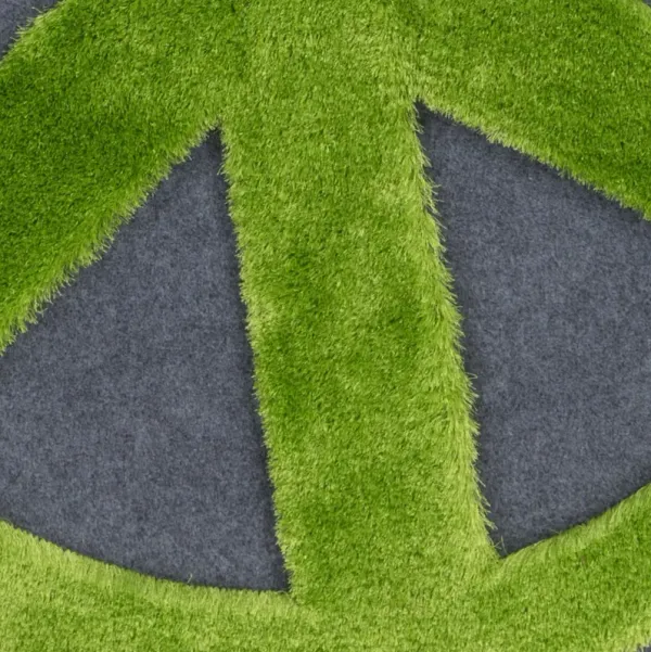 Crash CRH-6002 4' x 6' Hand Made Rug