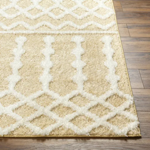 Rodos RDO-2345 6'7" x 9' Machine Woven Rug