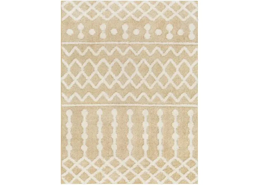 Rodos RDO-2345 6'7" x 9' Machine Woven Rug