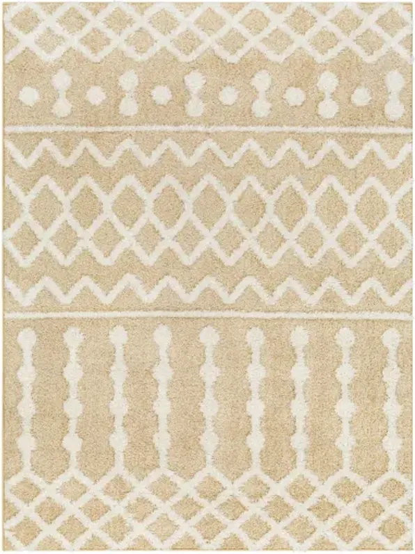 Rodos RDO-2345 6'7" x 9' Machine Woven Rug