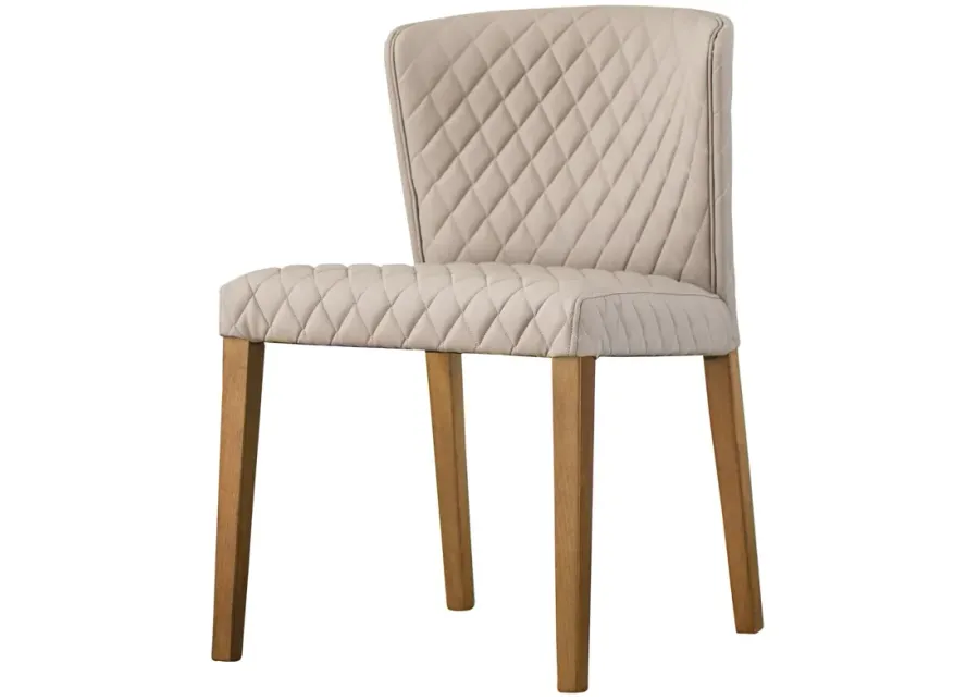 Albie Dining Side Chair  - Set of 2