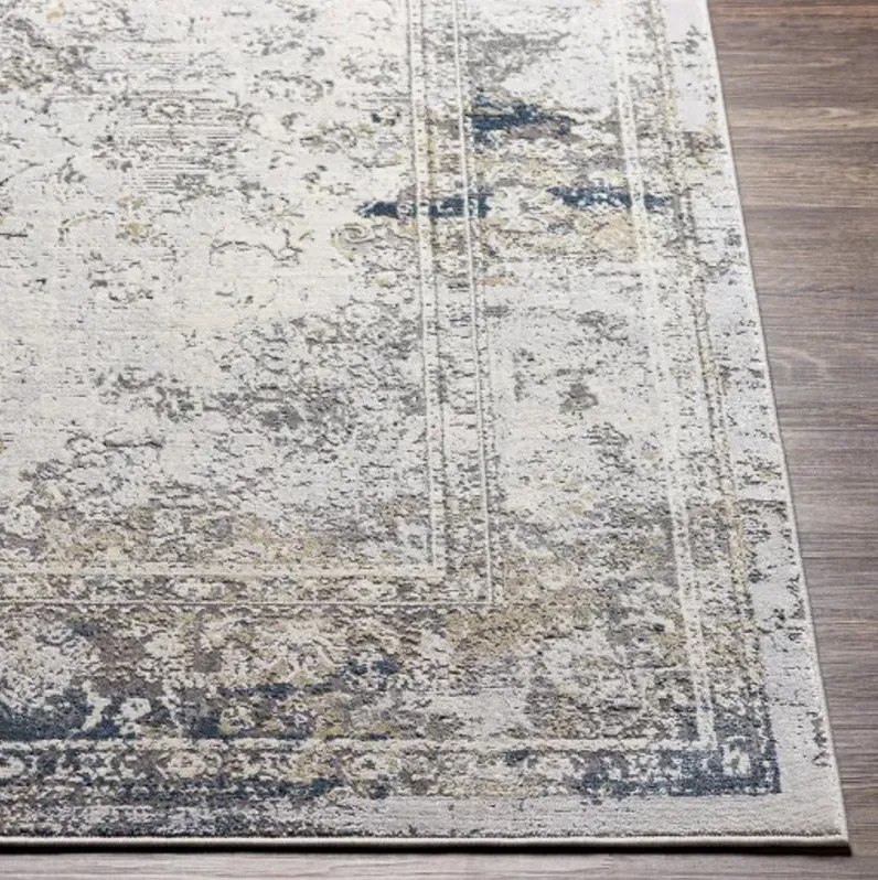 Norland 2'7" x 4' Rug